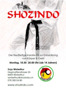 Dojo Winterthur